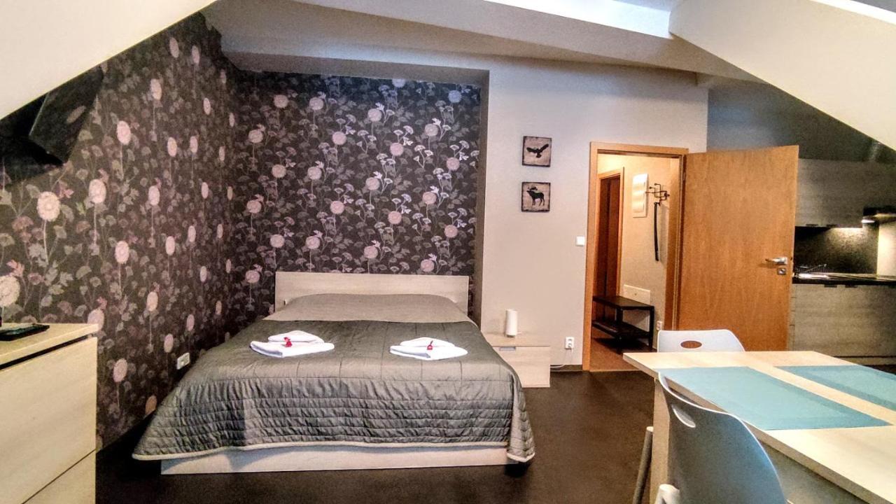 Horsky Apartman 1+Kk V Relaxacnim Prostredi Anenskeho Udoli Leilighet Harrachov Eksteriør bilde