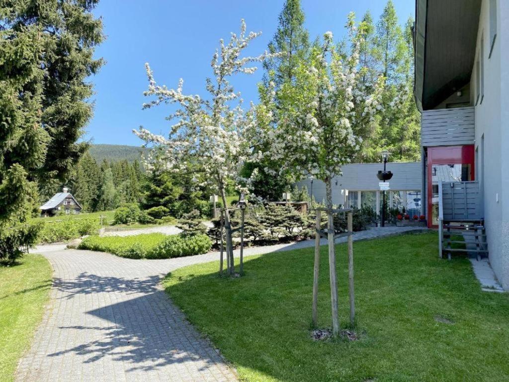 Horsky Apartman 1+Kk V Relaxacnim Prostredi Anenskeho Udoli Leilighet Harrachov Eksteriør bilde